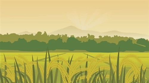 Avviso pubblico per l'assegnazione in affitto di fondi rustici comunali sito in località Palù